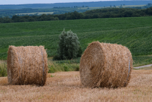 bale wrap