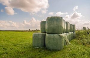 silage film