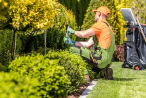 GGS lawn mowing Adelaide
