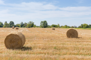 straw baling twine