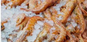 finest frozen prawns