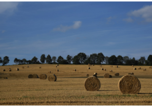 wholesale baling twine