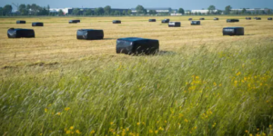 silage covers